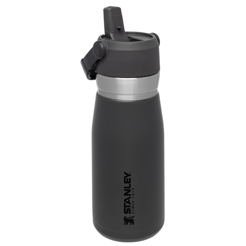 Go Flip Straw Water Bottle D154N